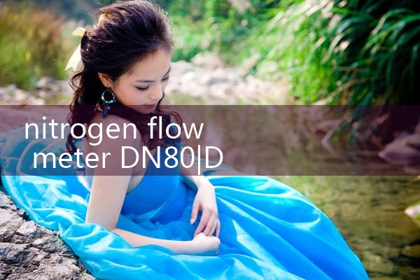 nitrogen flow meter DN80|flow meter distributor