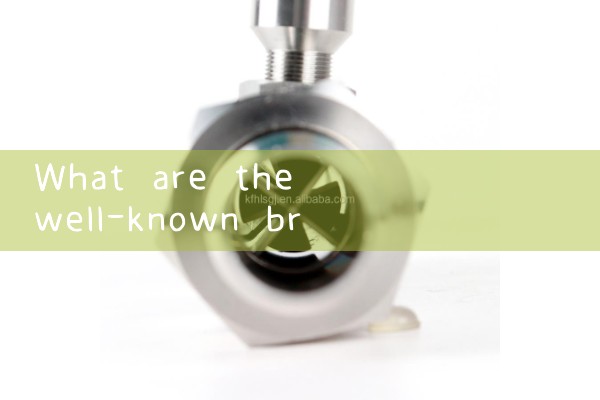 Cangzhou manufacturer quality flowmeter