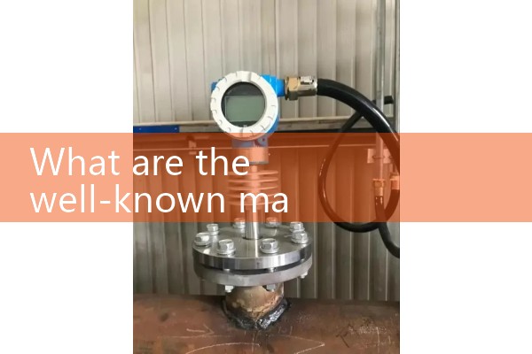Manufacturers of quality flow meters