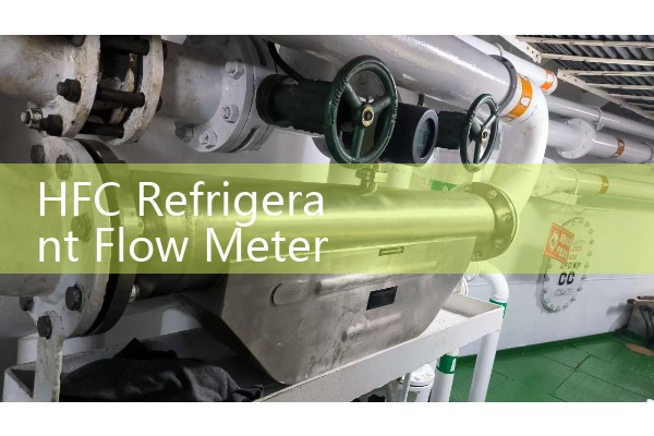 Doppler flowmeter model