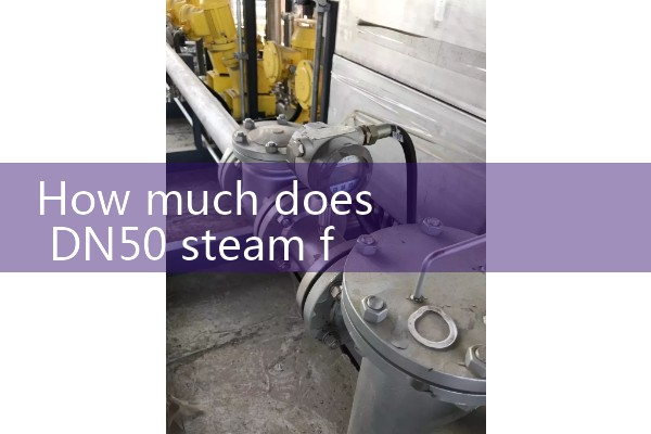 DN50 steam flowmeter