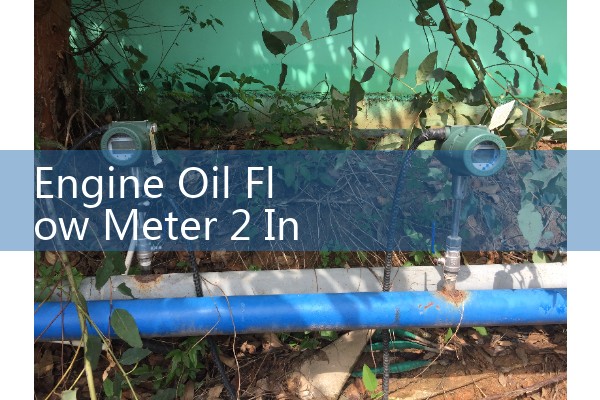 Engine Oil Flow Meter 2 Inch: Seamless Integration in Assembly Line Loops