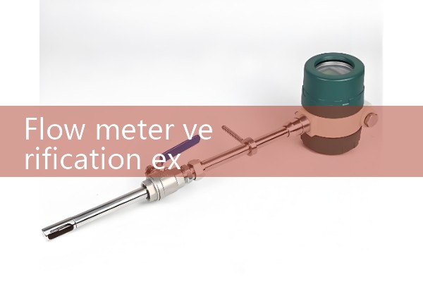 Xian Dongfeng Mass Flow Meter