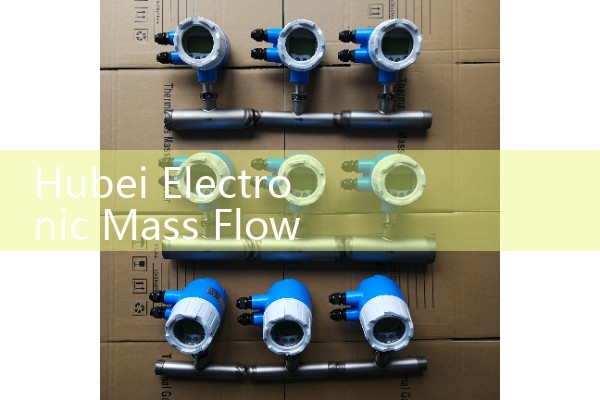 Hubei Electronic Mass Flow Meter Manufacturer