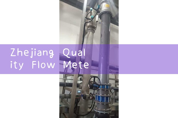Zhejiang Quality Flow Meter Manufacturer Supply