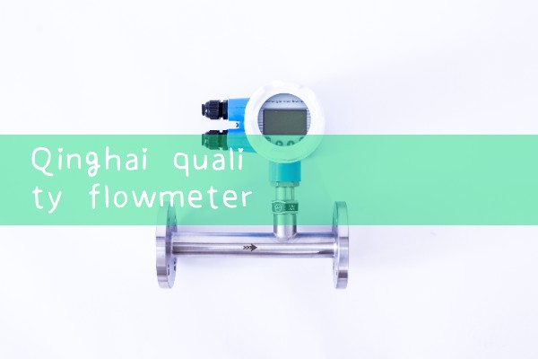 Qinghai quality flowmeter manufacturer direct sales