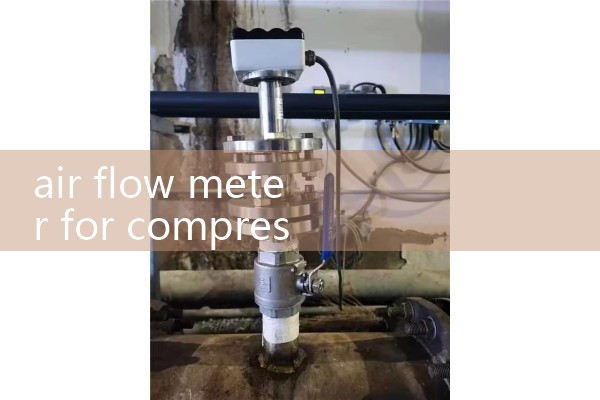 air flow meter for compressed air|orifice meter