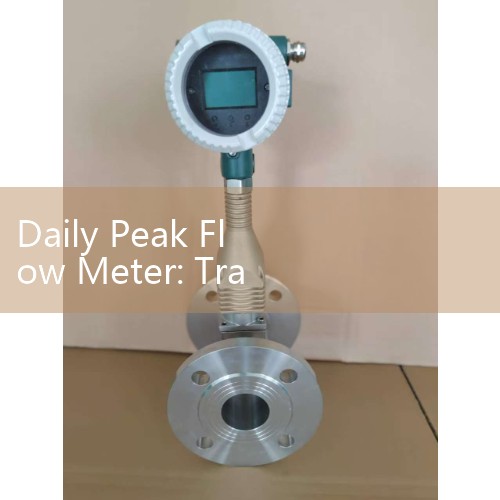 Daily Peak Flow Meter: Tracking Daily Expiratory Action Baseline Trends