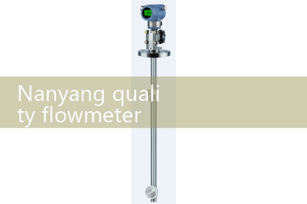 Nanyang Quality Flow Meter Manufacturer